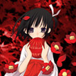 Sakura_____