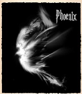 phoenix_472