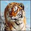 eviroko