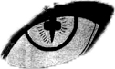 Killer___Bee